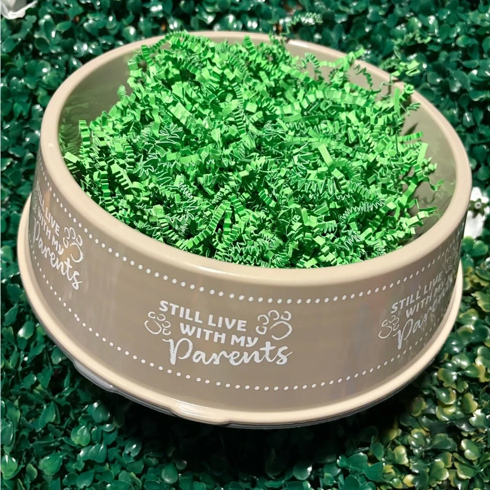 Pet Feeder Set with Green Chew Toy and Black Bowl